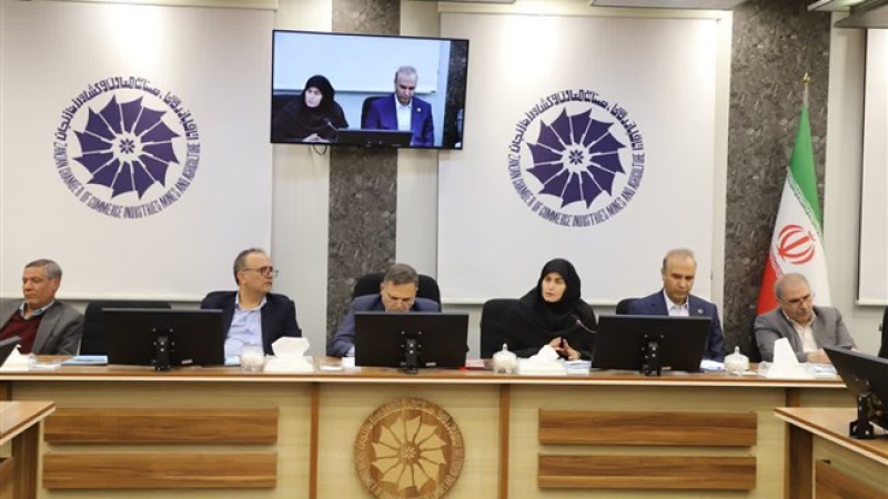 در صد و دومین جلسه شورای گفت&zwnj;وگوی استان زنجان مطرح شد؛ تک&zwnj;نرخی شدن ارز و بازنگری در مهلت&zwnj;های ارزی صادرکنندگان تسریع شود