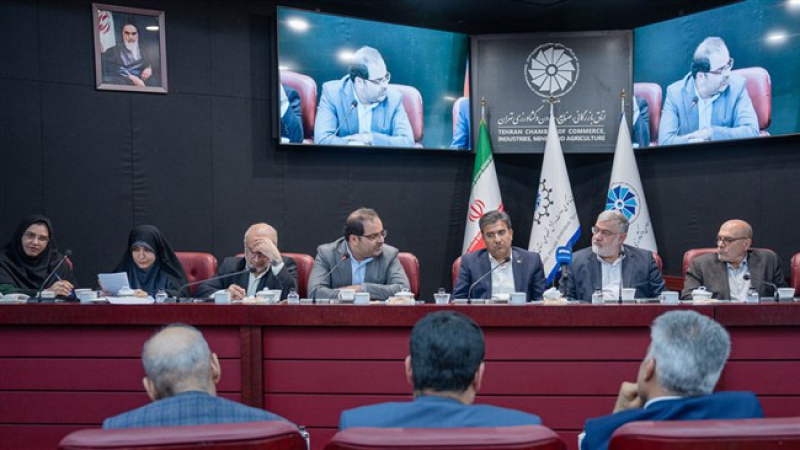 در صدوسیزدهمین جلسه شورای گفت&zwnj;و&zwnj;گوی استان تهران مطرح شد؛ درخواست برای تمدید تصویب&zwnj;نامه ۱۳۴۰۰ و بازنگری فوری تعرفه&zwnj;های برق