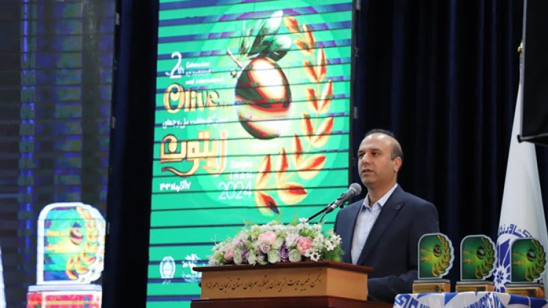 رئیس اتاق زنجان تأکید کرد؛ افزایش صادرات زیتون، نیازمند رویکرد نو در فرآیند تولید و برندسازی است