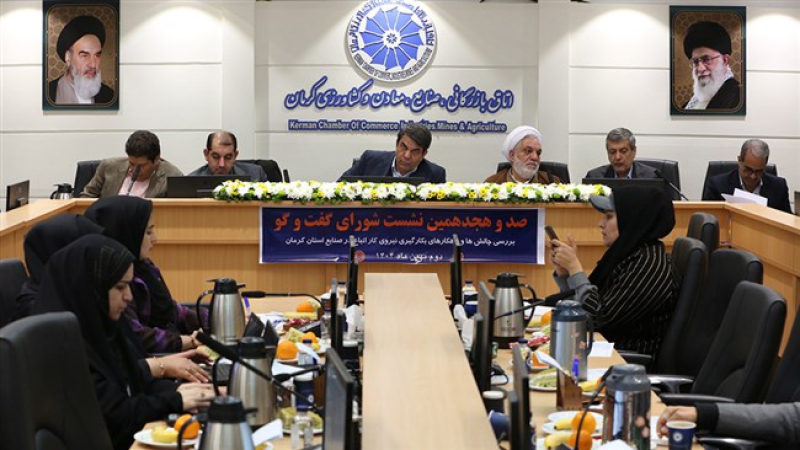 سیدمهدی طبیب زاده در صد و هجدهمین نشست شورای گفت و گوی استان کرمان اعلام کرد؛ ساختارمند شدن حضور اتباع در کشور از بروز بحران اشتغال جلوگیری می کند