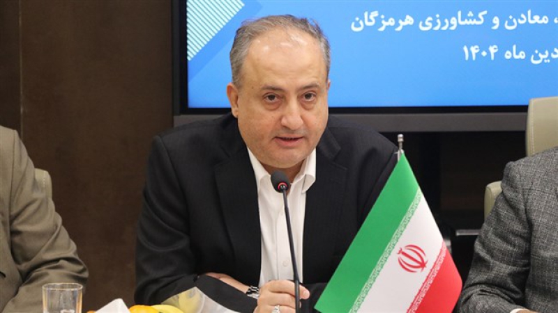 رئیس اتاق بندرعباس در یکصد و یازدهمین نشست شورای گفت&zwnj;وگو استان هرمزگان مطرح کرد؛ حل مسائل بخش خصوصی با پیگیری ملی و برگزاری همایش&zwnj;های بین&zwnj;المللی