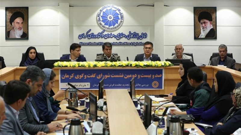 سیدمهدی طبیب زاده در صد و بیست و دومین نشست شورای گفت و گوی کرمان مطرح کرد فرش کرمان می تواند به جاذبه گردشگری و فرهنگی تبدیل شود