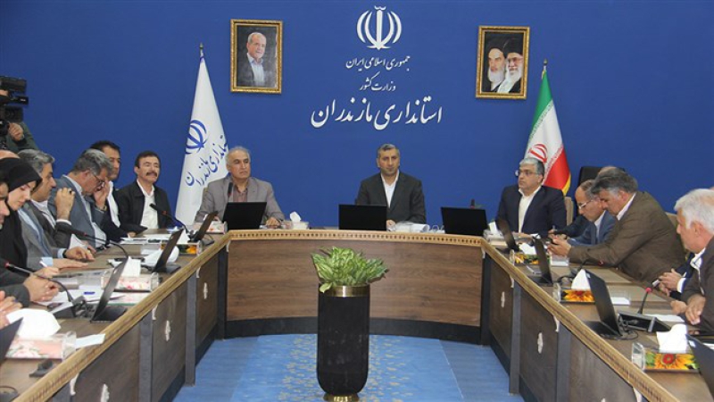 در آخرین نشست شورای گفت و گوی دولت و بخش خصوصی مازندران در سال 1403 عنوان شد؛ صادرات گوشت مرغ مستمر باشد | ثبات بازار داخلی مرغ تضمین می&zwnj; شود