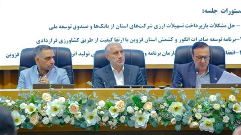 در صد و ششمین جلسه شورای گفت وگوی دولت و بخش خصوصی قزوین مطرح کرد؛ صنایع قزوین با قطعی&zwnj; برق آسیب ندیدند